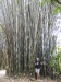 18-helle-i-bambus
